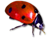 Captcha image 7720
